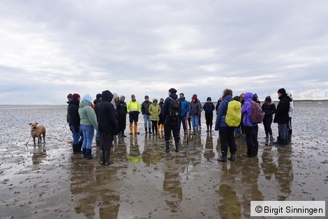Wattwanderung im Nationalpark Wattenmeer