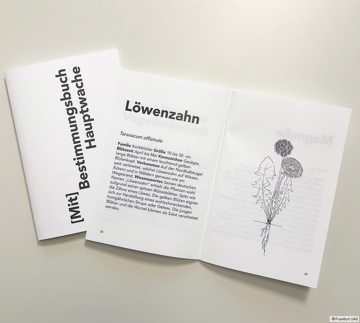 Cover der Publikation Wildnis Hauptwache