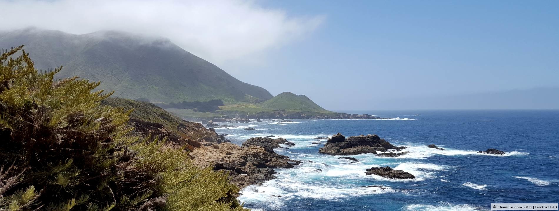 Küstenlandschaft in Monterey Bay (USA)