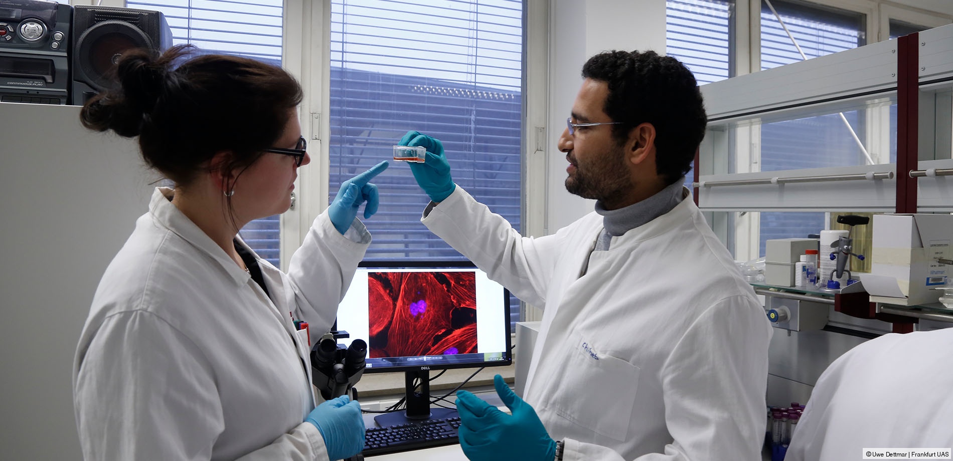 Zwei Studierende der Bioverfahrenstechnik an der Frankfurt UAS betrachten eine Probe in einer Petrischale.