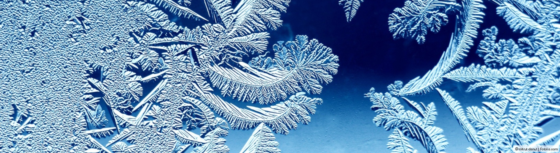 Illustration Tannenbaum